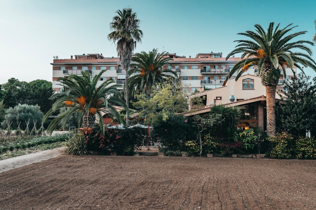 Drip irrigation system installed in a Costa del Sol garden, designed for efficient watering during the dry Mediterranean