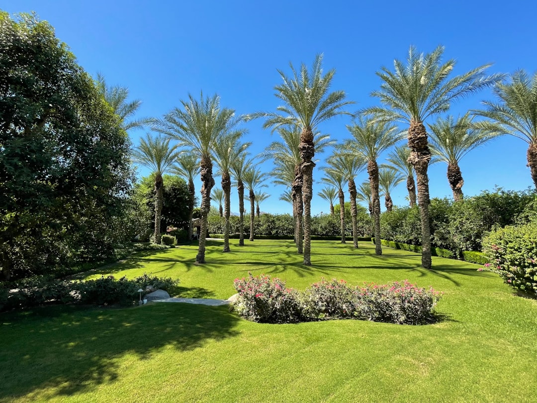 Costa del Sol villa garden with palm trees and Mediterranean plants during dry season maintenance period.